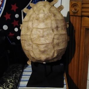 I have two incredibly detailed Ethan Allen tortois